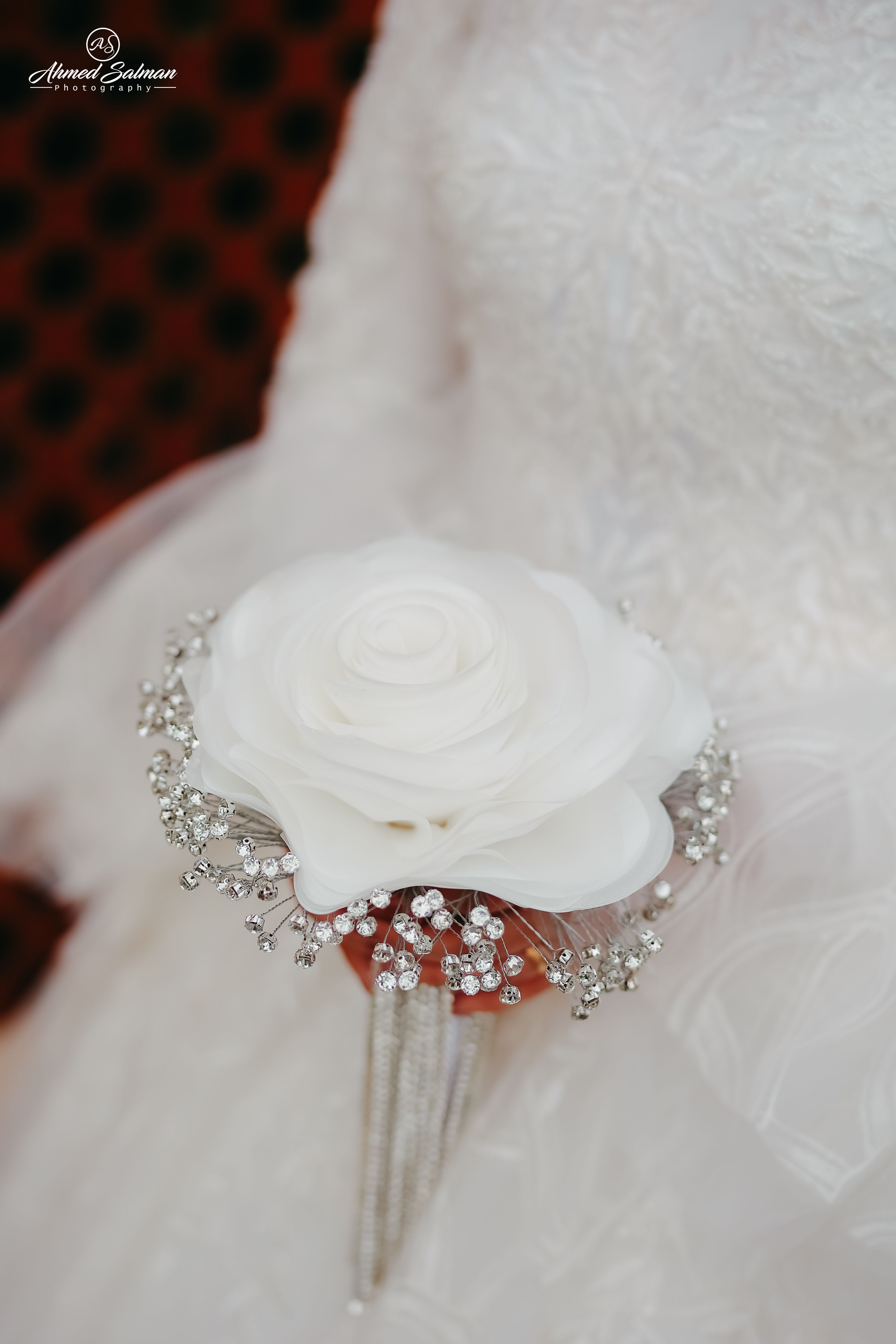 faten7.lens Lens social identity (.lens handle) PFP