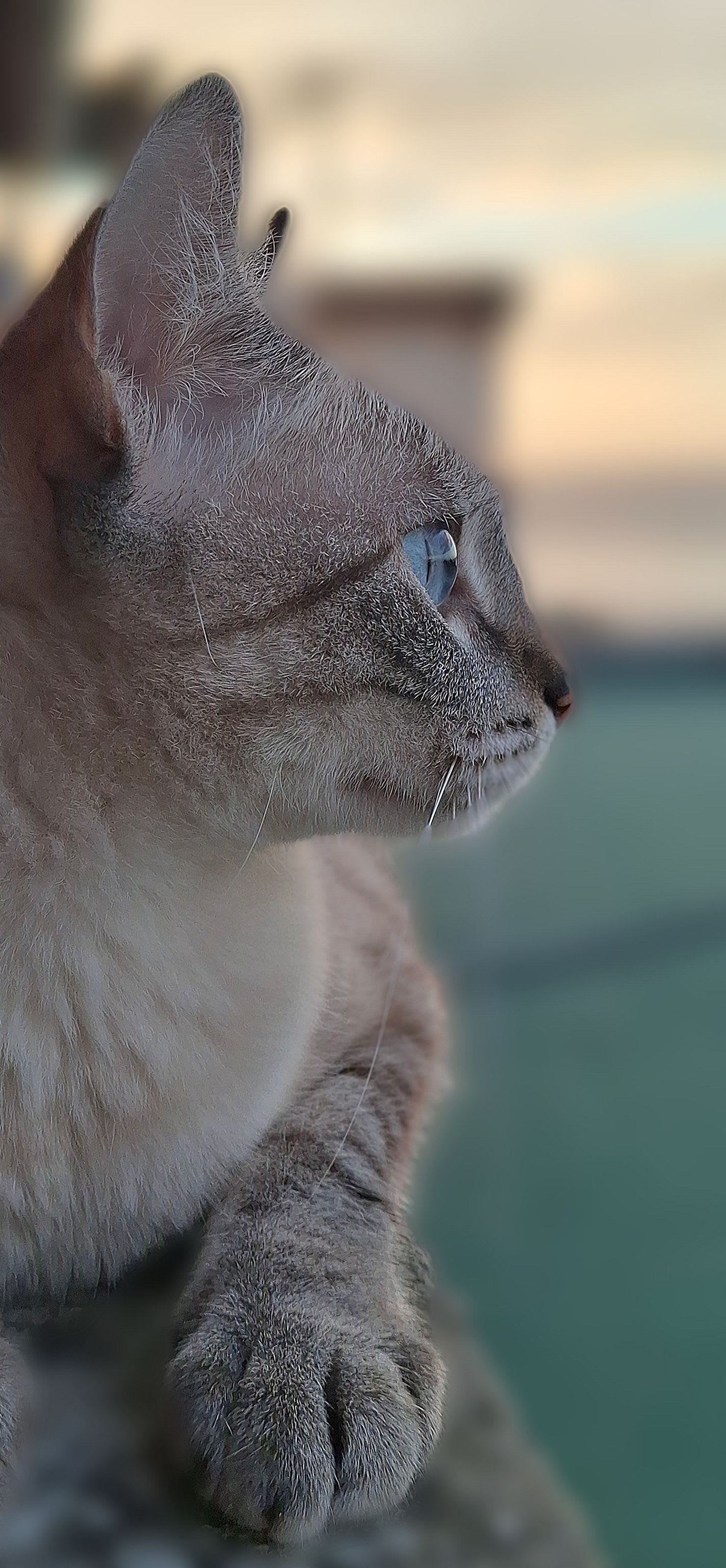 joanmanuel07 (joanmanuel.base.eth) Farcaster social identity (Fname handle) PFP