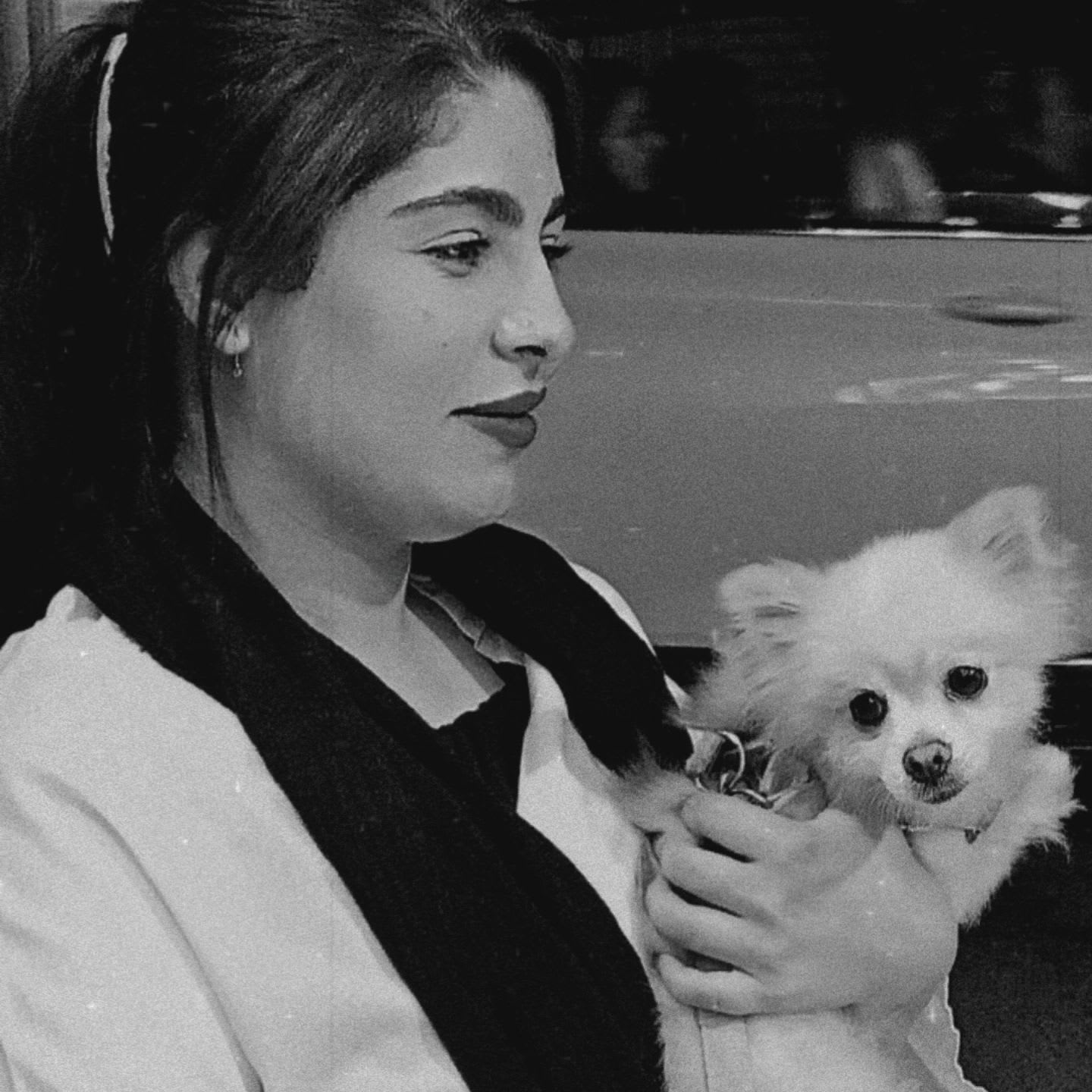 mehrimah🎩 (mehrimah) Farcaster social identity (Fname handle) PFP