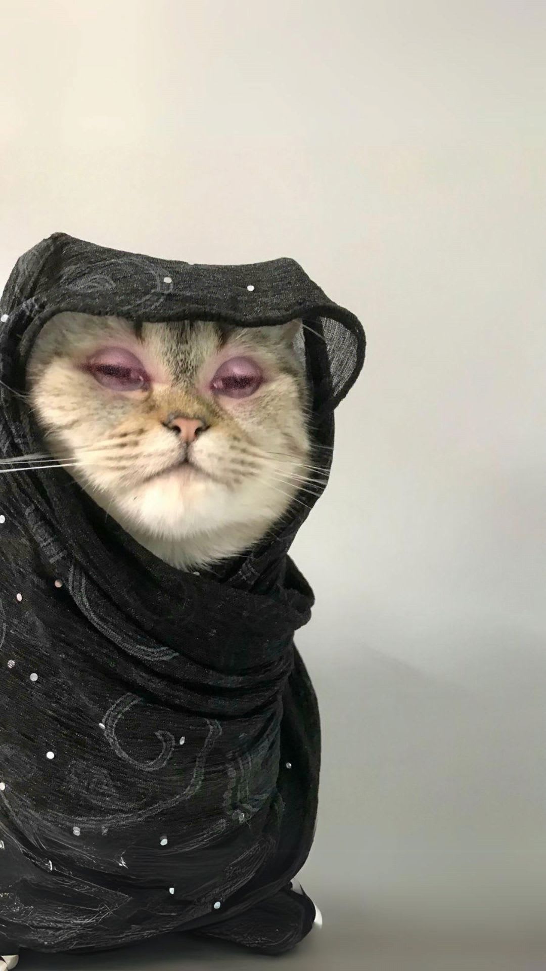 Johny Nonsense 🎩🍖🔮🍄 (hamzanain) Farcaster social identity (Fname handle) PFP