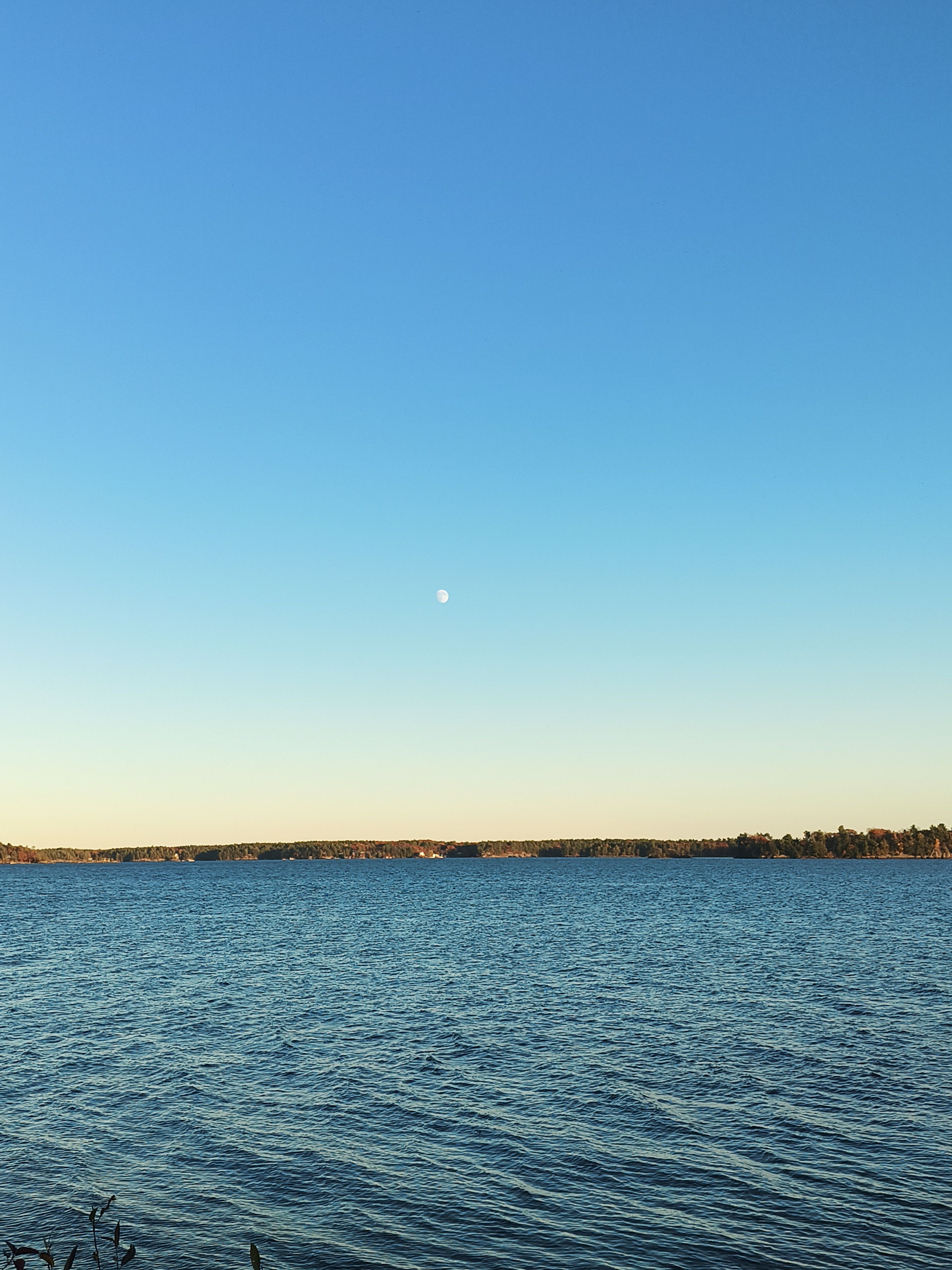 Kevin (kevinkidd) Farcaster social identity (Fname handle) PFP