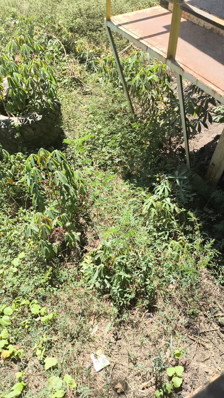 Nazee's Farcaster avatar