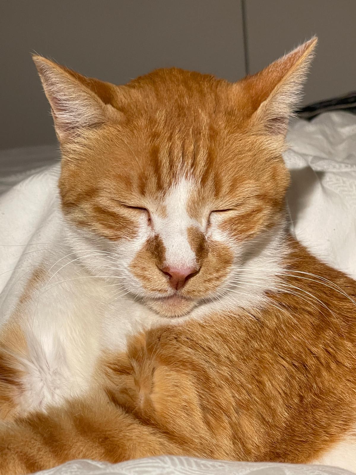 tharanthula.base.eth Basenames (.base.eth domains) based on ENS PFP