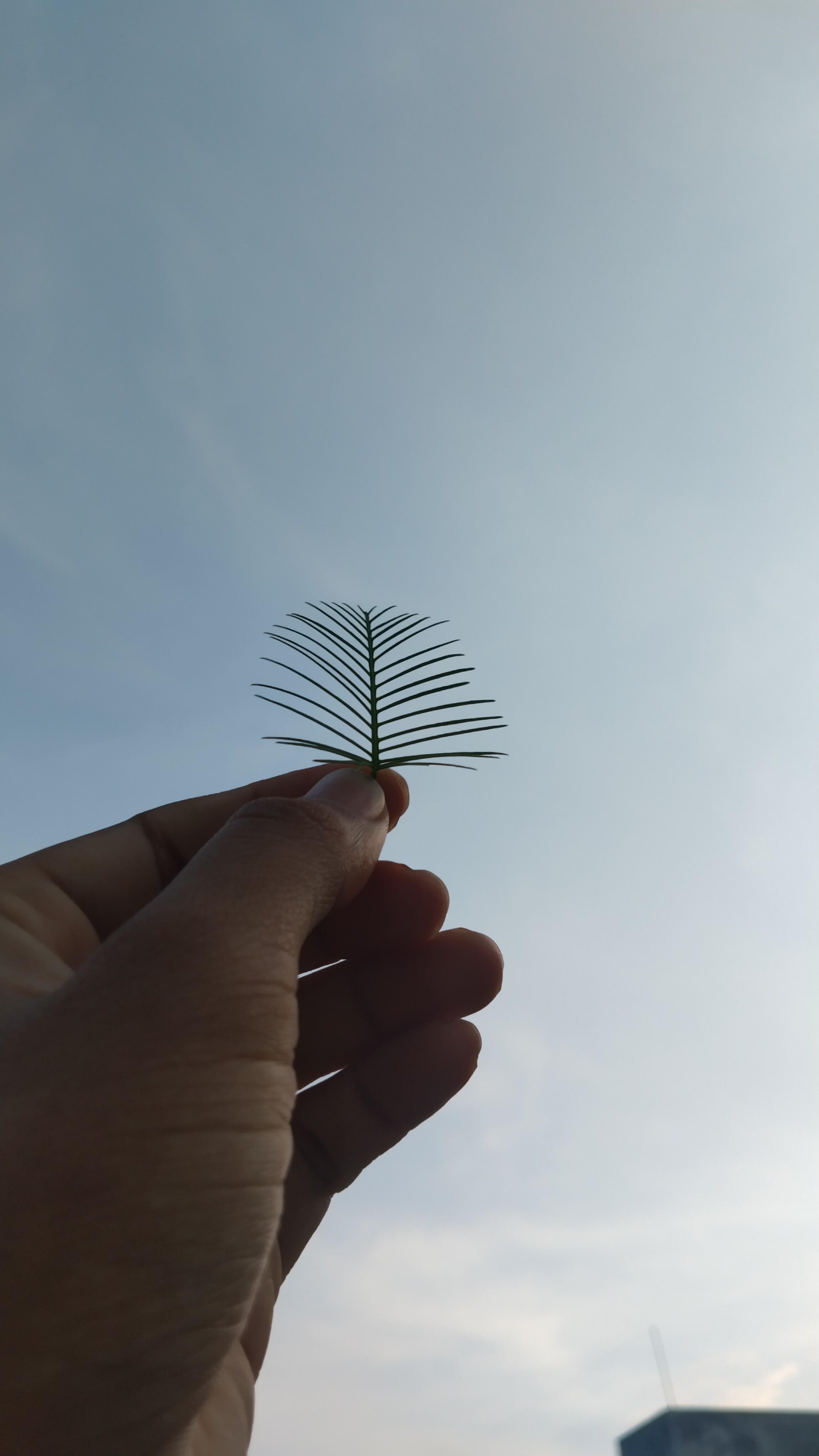 Mrcryto9 (kaal1.base.eth) Farcaster social identity (Fname handle) PFP