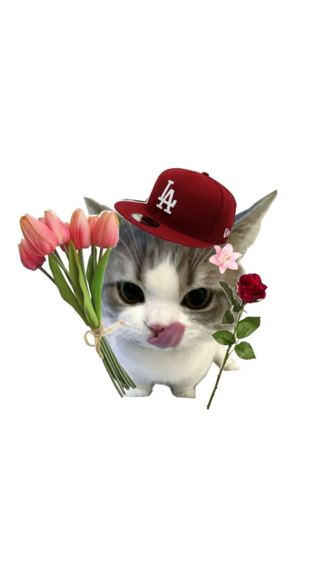 Arunika (thenightwemet.base.eth) Farcaster social identity (Fname handle) PFP