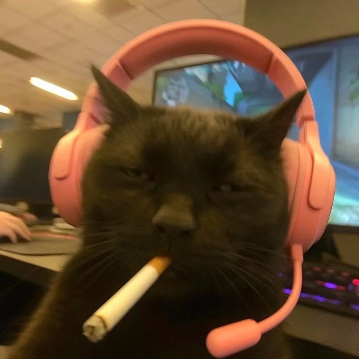 Gyuribae's Farcaster avatar