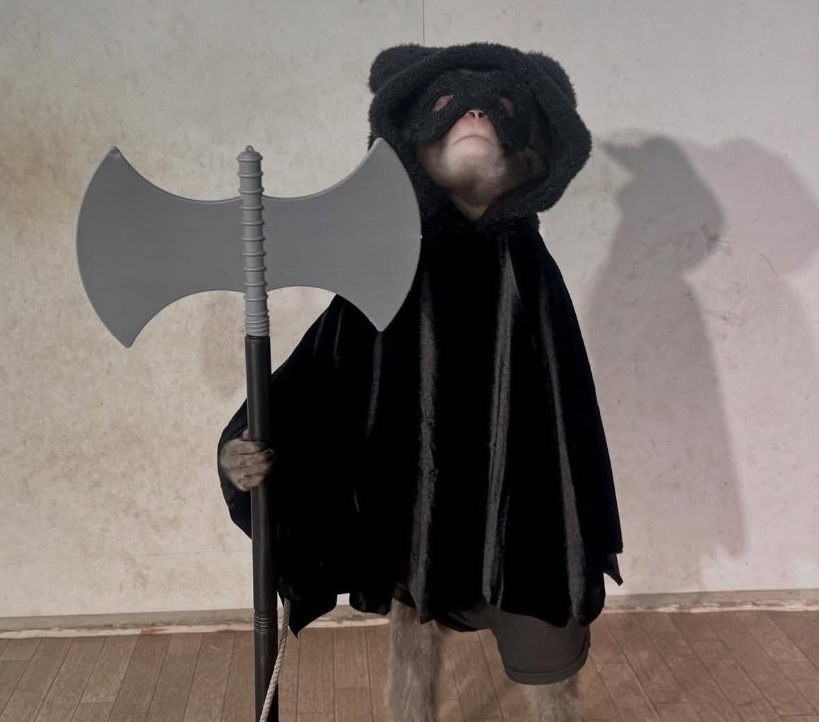 Chilotete (jokerz) Farcaster social identity (Fname handle) PFP