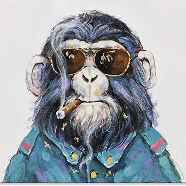 zank99's Farcaster avatar