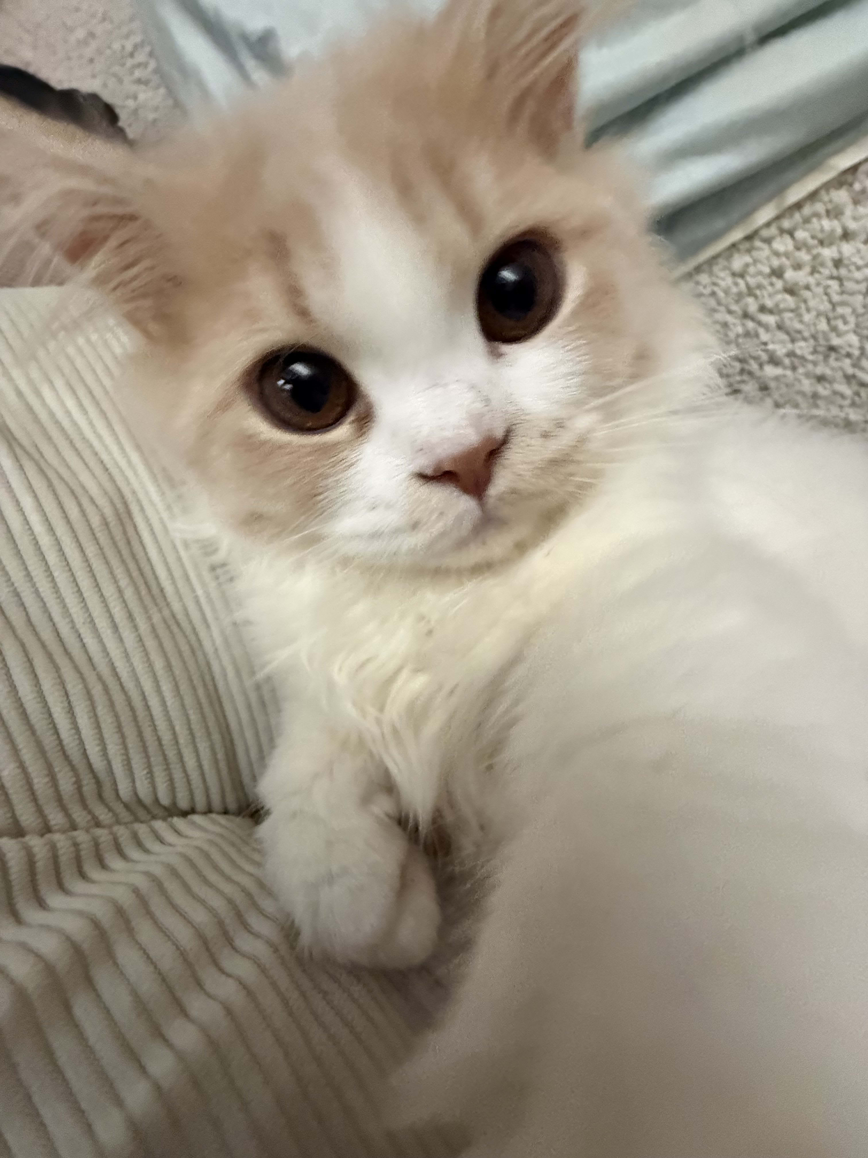 Fdbubble420 (fdbubble) Farcaster social identity (Fname handle) PFP