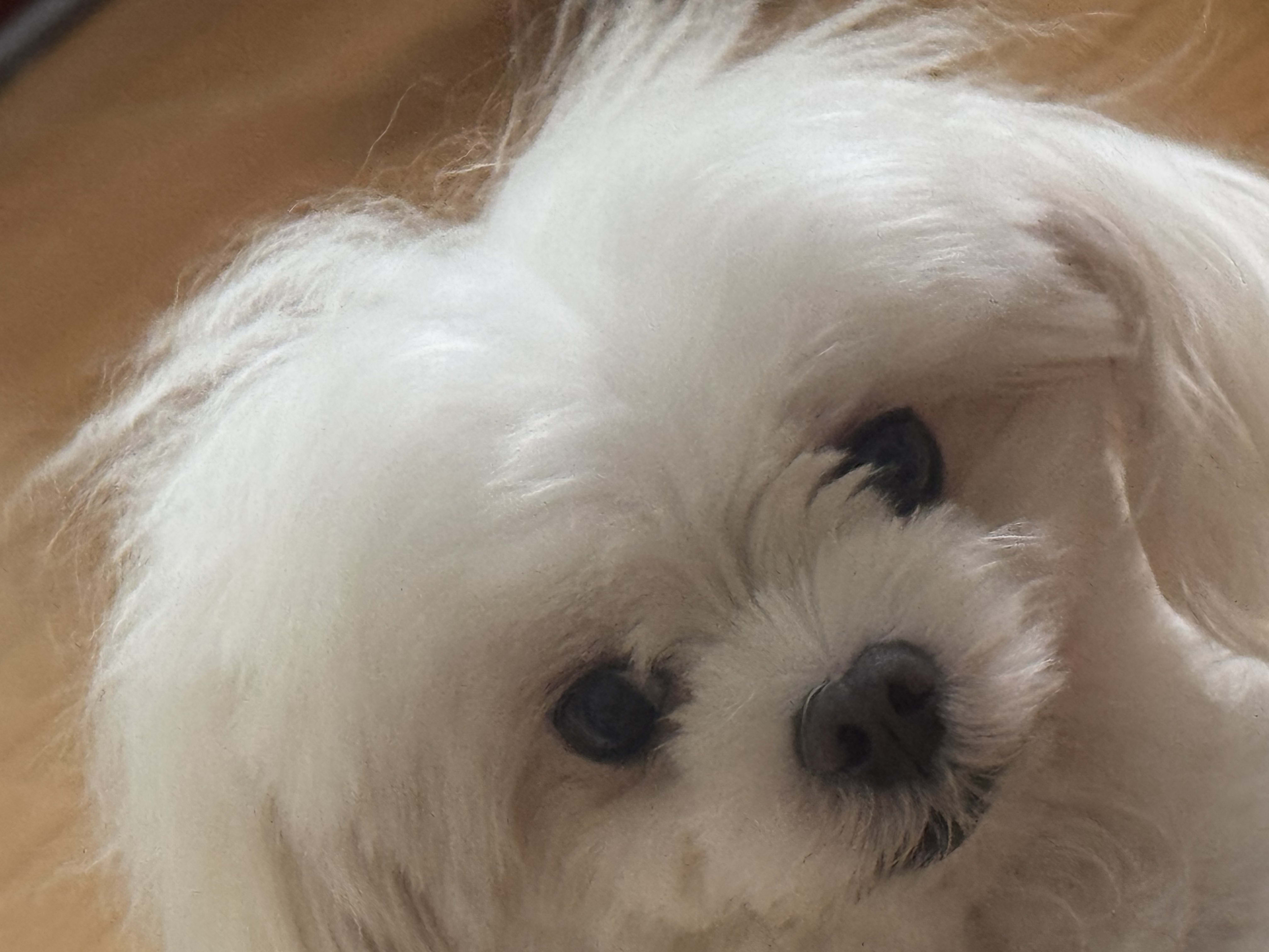 Tsk612 (tsk8668.base.eth) Farcaster social identity (Fname handle) PFP