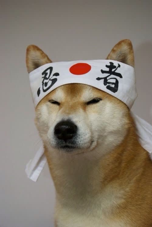 Kundesu's Farcaster avatar