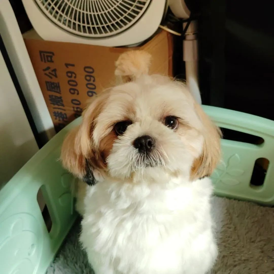 Zbegundal (zbegundal) Farcaster social identity (Fname handle) PFP