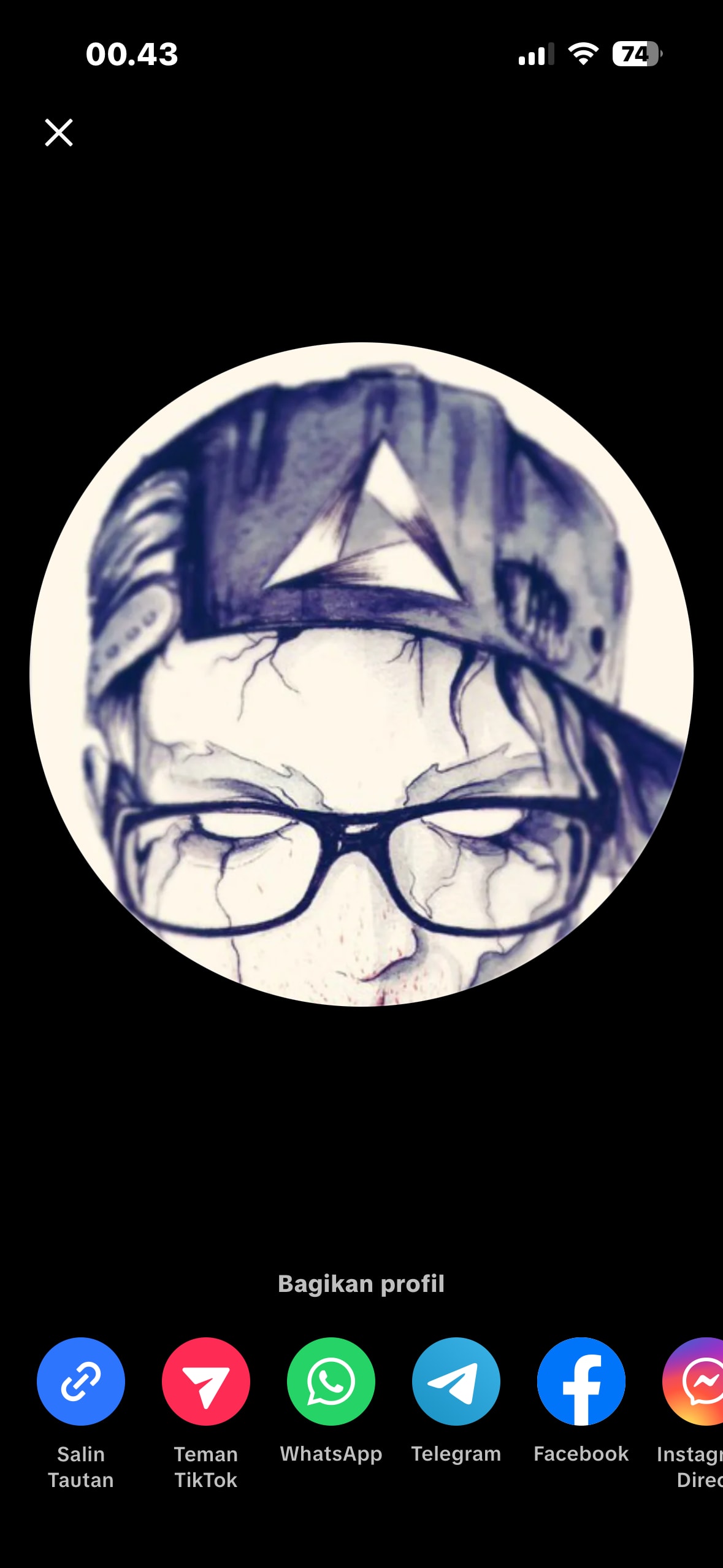 pukiii.linea.eth Linea Name Service (.linea.eth domains) based on ENS PFP