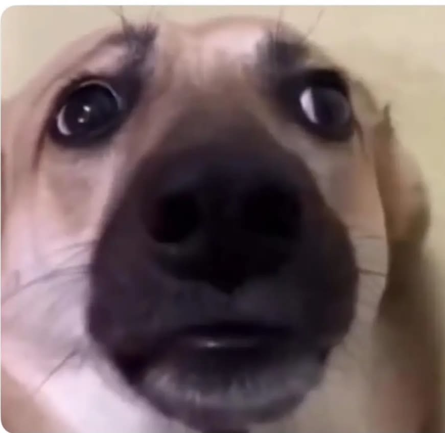 evermmon.lens Lens social identity (.lens handle) PFP