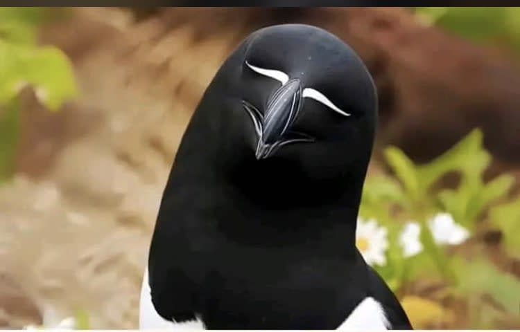Kreeys's Farcaster avatar