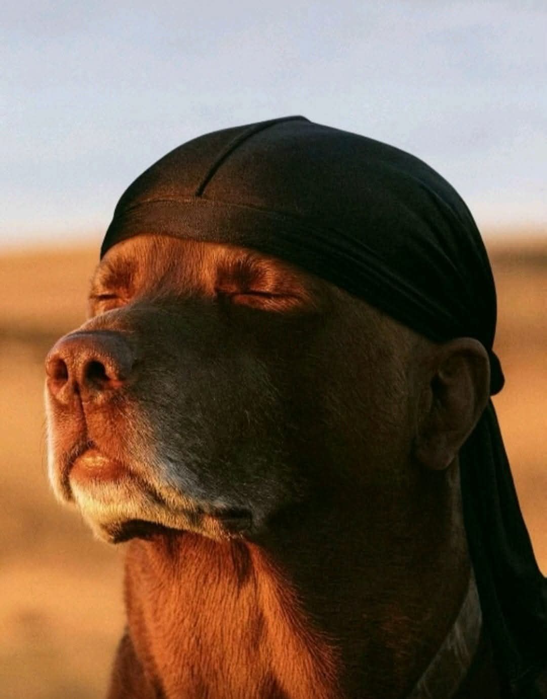 Mjamyam's Farcaster avatar