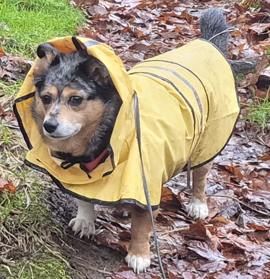 Mcdegen.base.eth (mcdegen.base.eth) Farcaster social identity (Fname handle) PFP