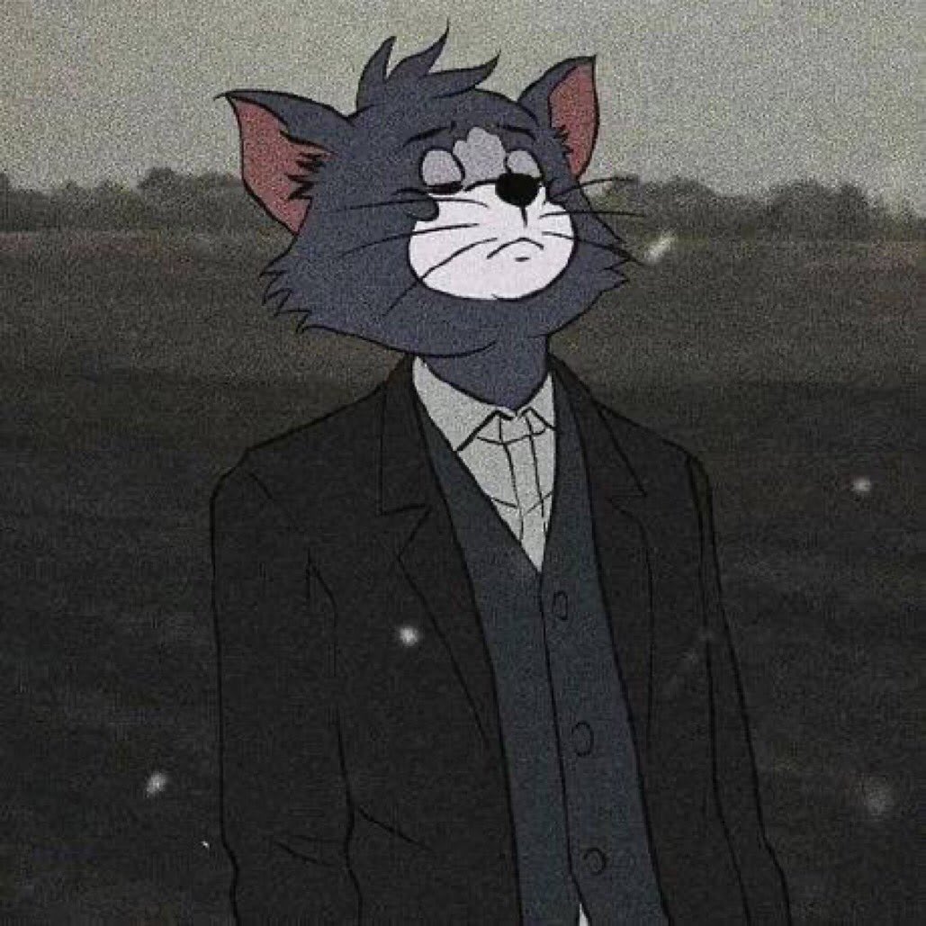 Sirkumzy's Farcaster avatar