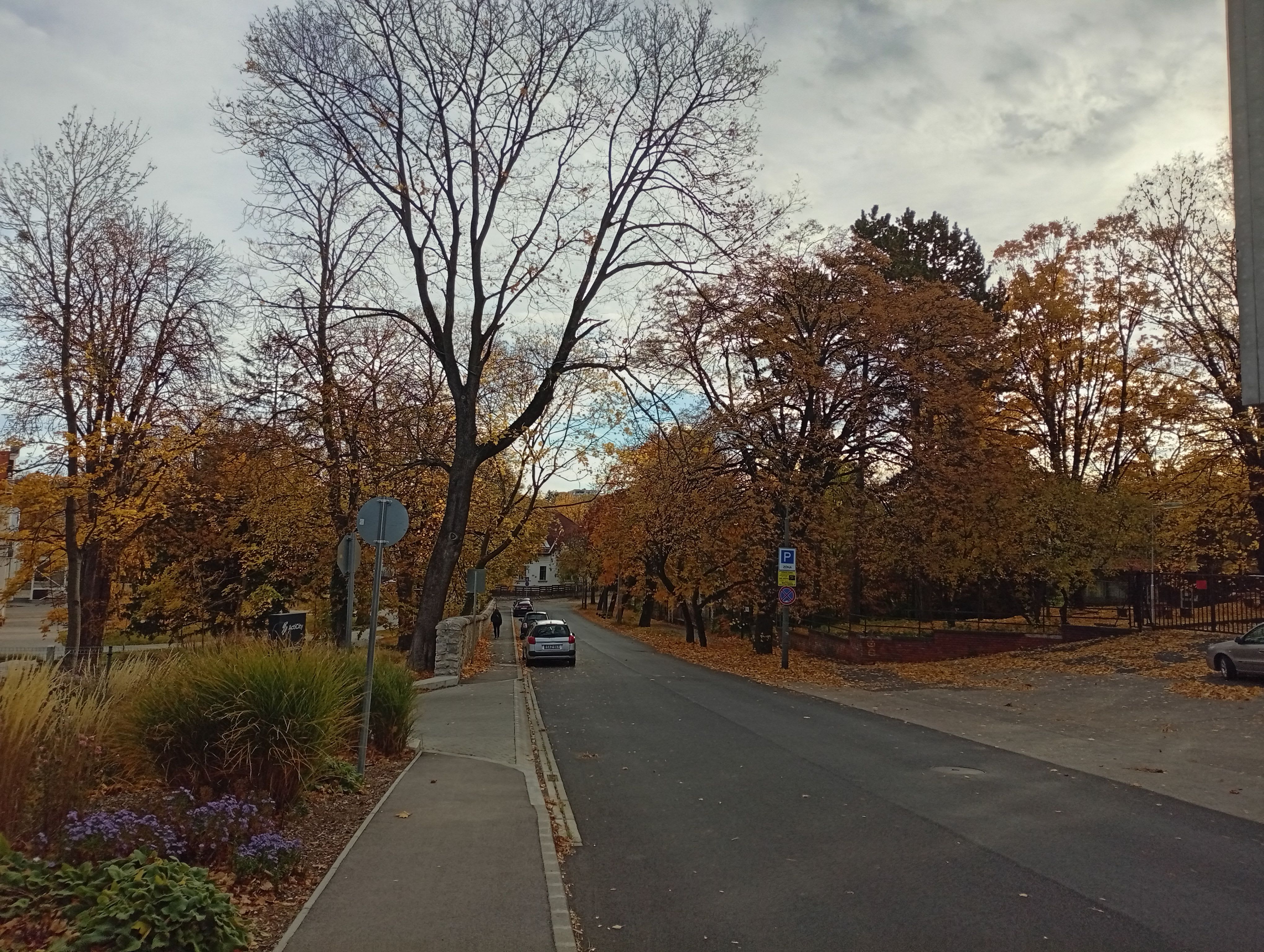 palestine7oct.eth Ethereum Name Service (ENS and .eth domain) PFP