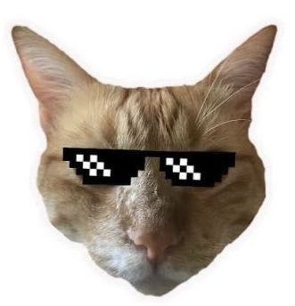 Artur's Farcaster avatar