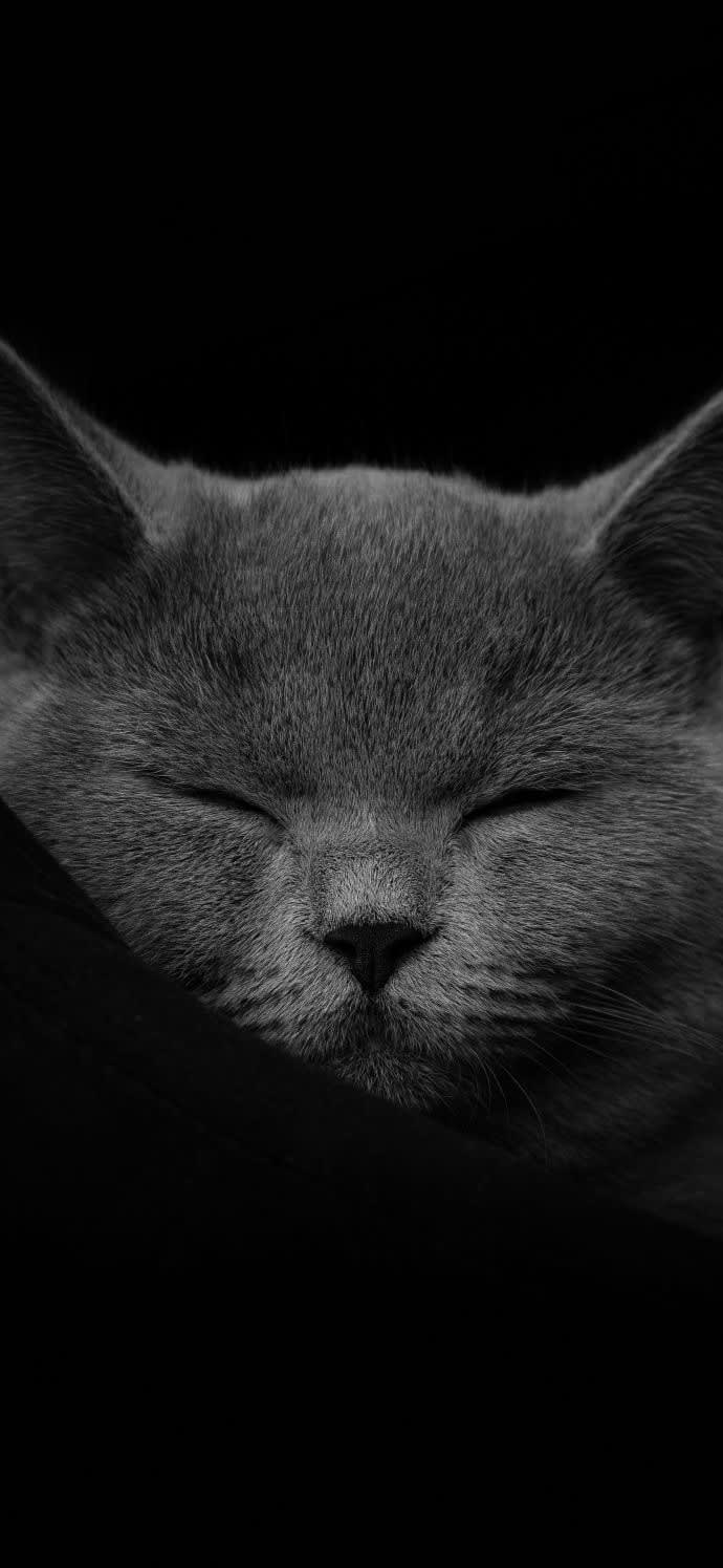 penyb.base.eth Basenames (.base.eth domains) based on ENS PFP
