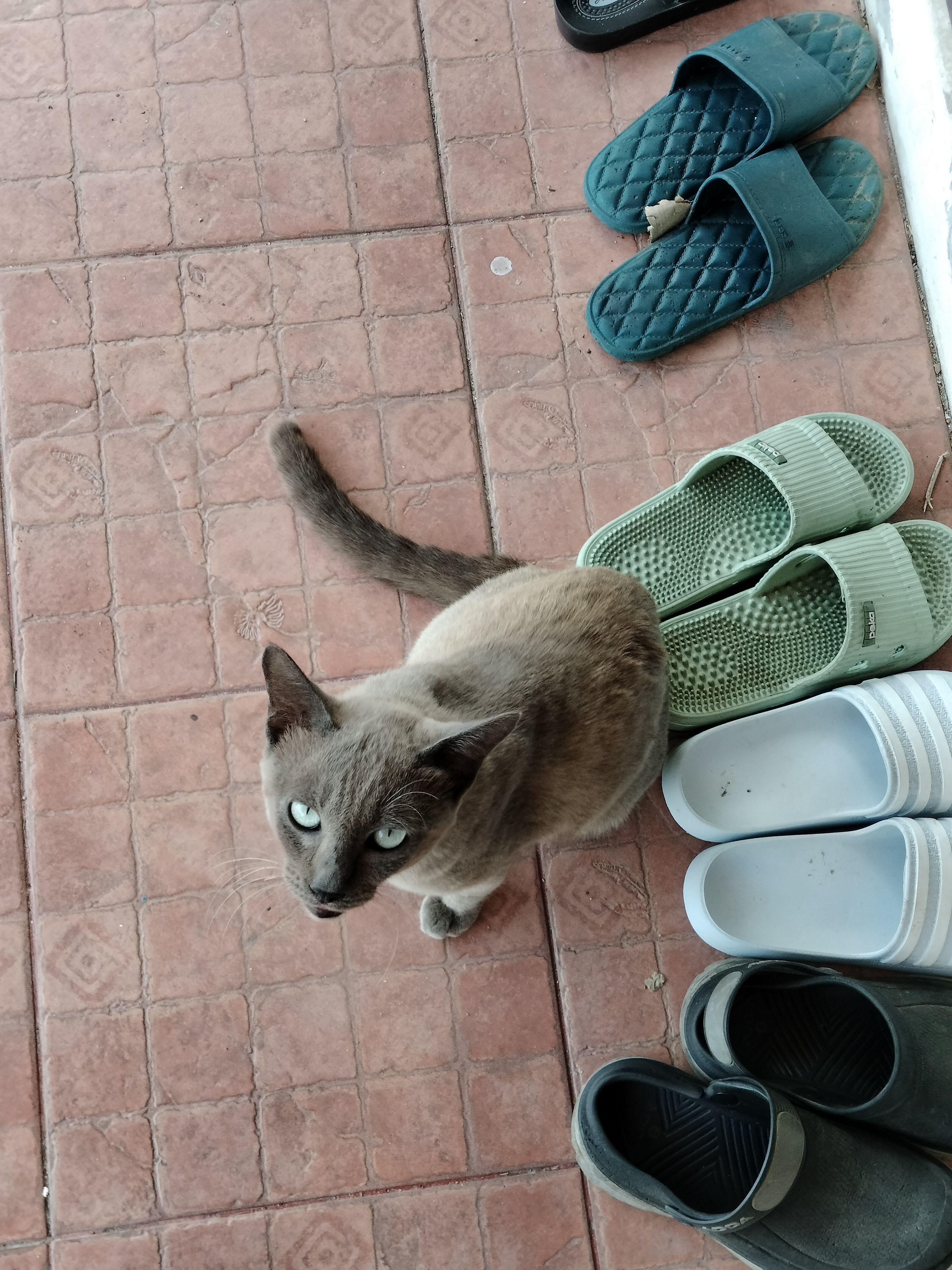 ToeiToei (toeitoei) Farcaster social identity (Fname handle) PFP