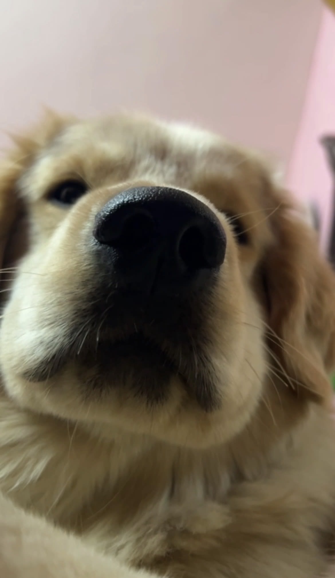 Sunny Chauhan base.eth (sunny0.eth) Farcaster social identity (Fname handle) PFP