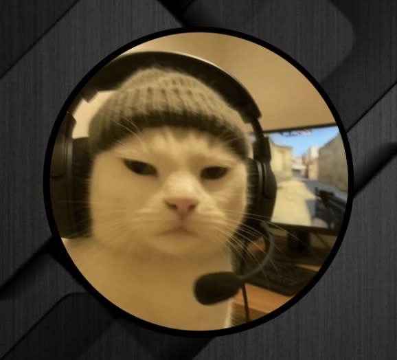 richiefunds's Farcaster avatar