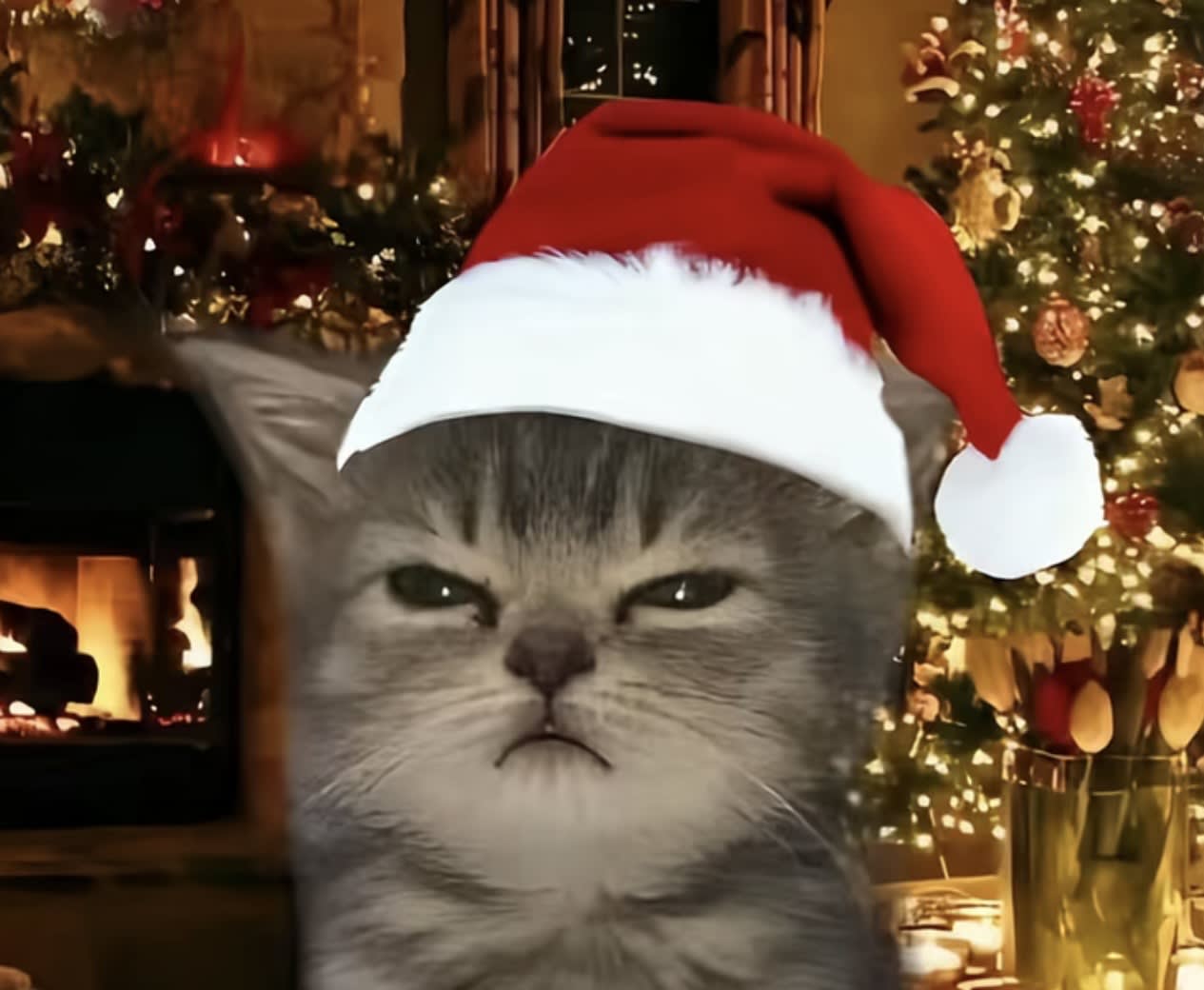 Krys 💕🍬🍬 pfp