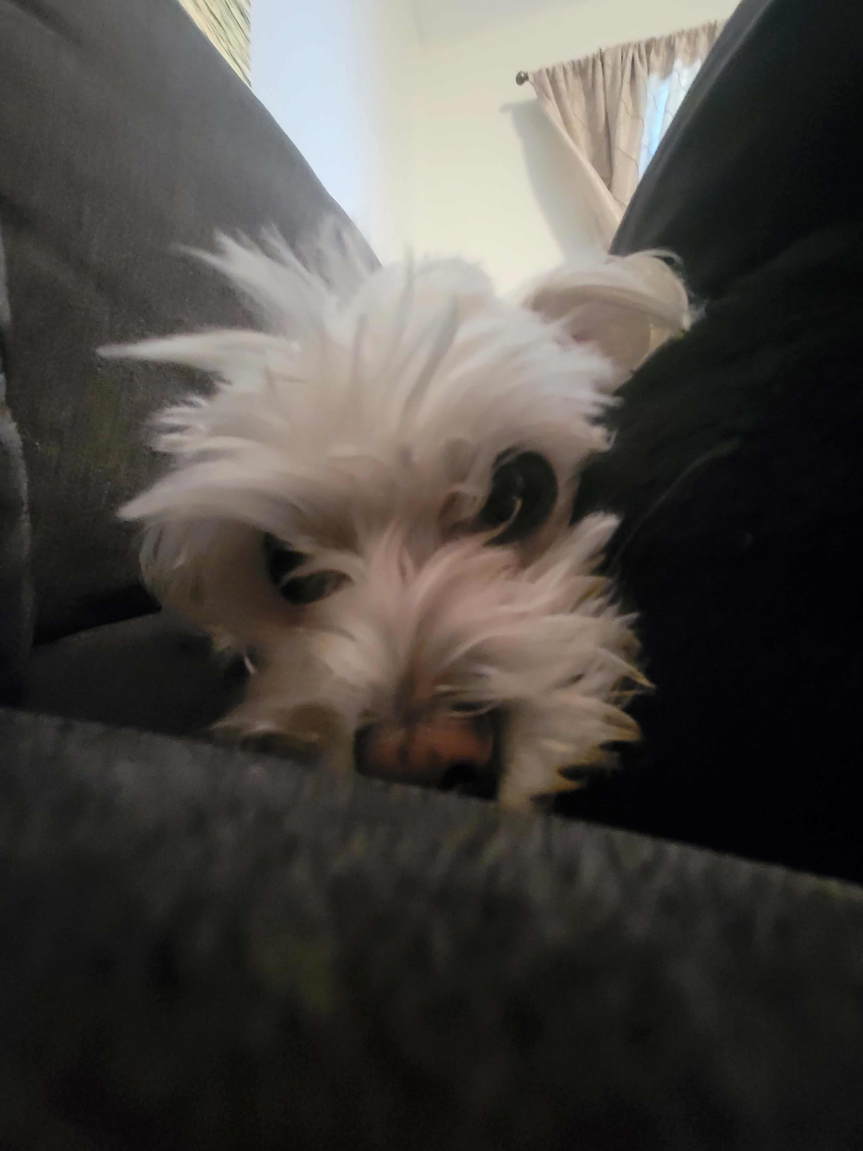 trippage22.base.eth Basenames (.base.eth domains) based on ENS PFP