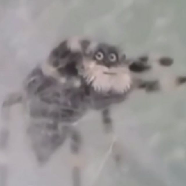detector's Farcaster avatar