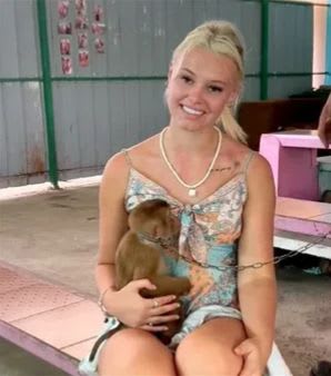 lilwombat74.base.eth Basenames (.base.eth domains) based on ENS PFP