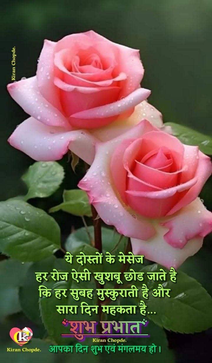Firoz Ahamad's Farcaster avatar