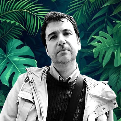 Phil Crypto Palm Beach's Farcaster avatar