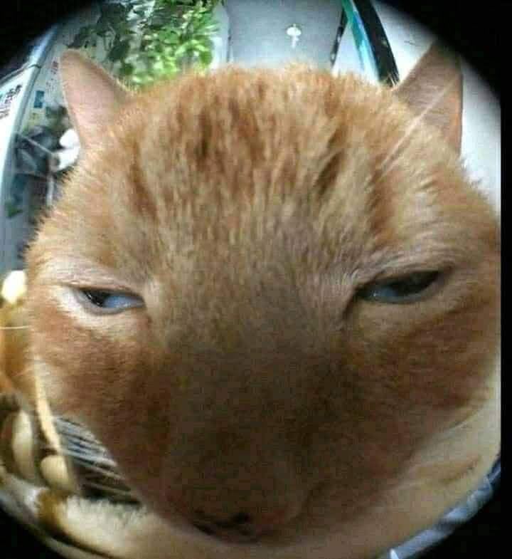 rapyourbae's Farcaster avatar
