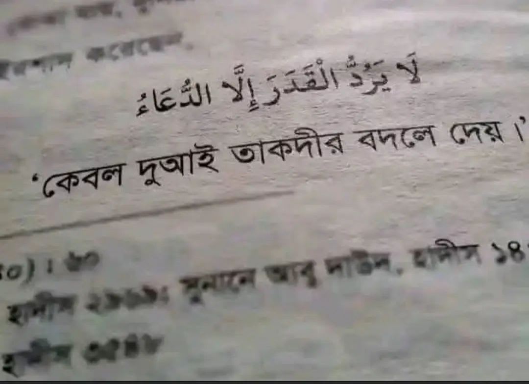 Rakib khan's Farcaster avatar