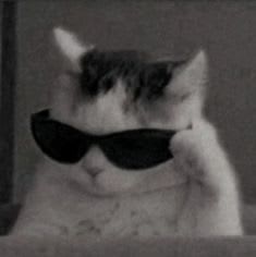 mitamask's Farcaster avatar