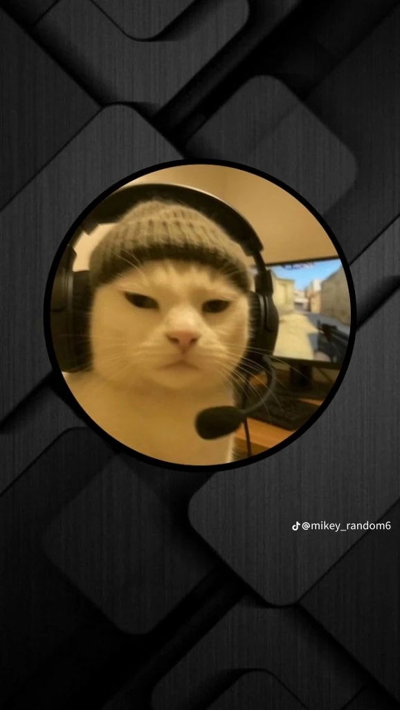 FerdyYankie's Farcaster avatar