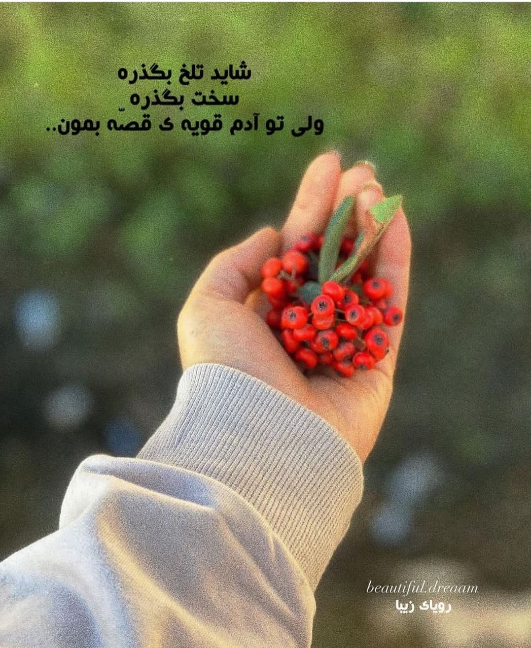 faezeh13452's Farcaster avatar