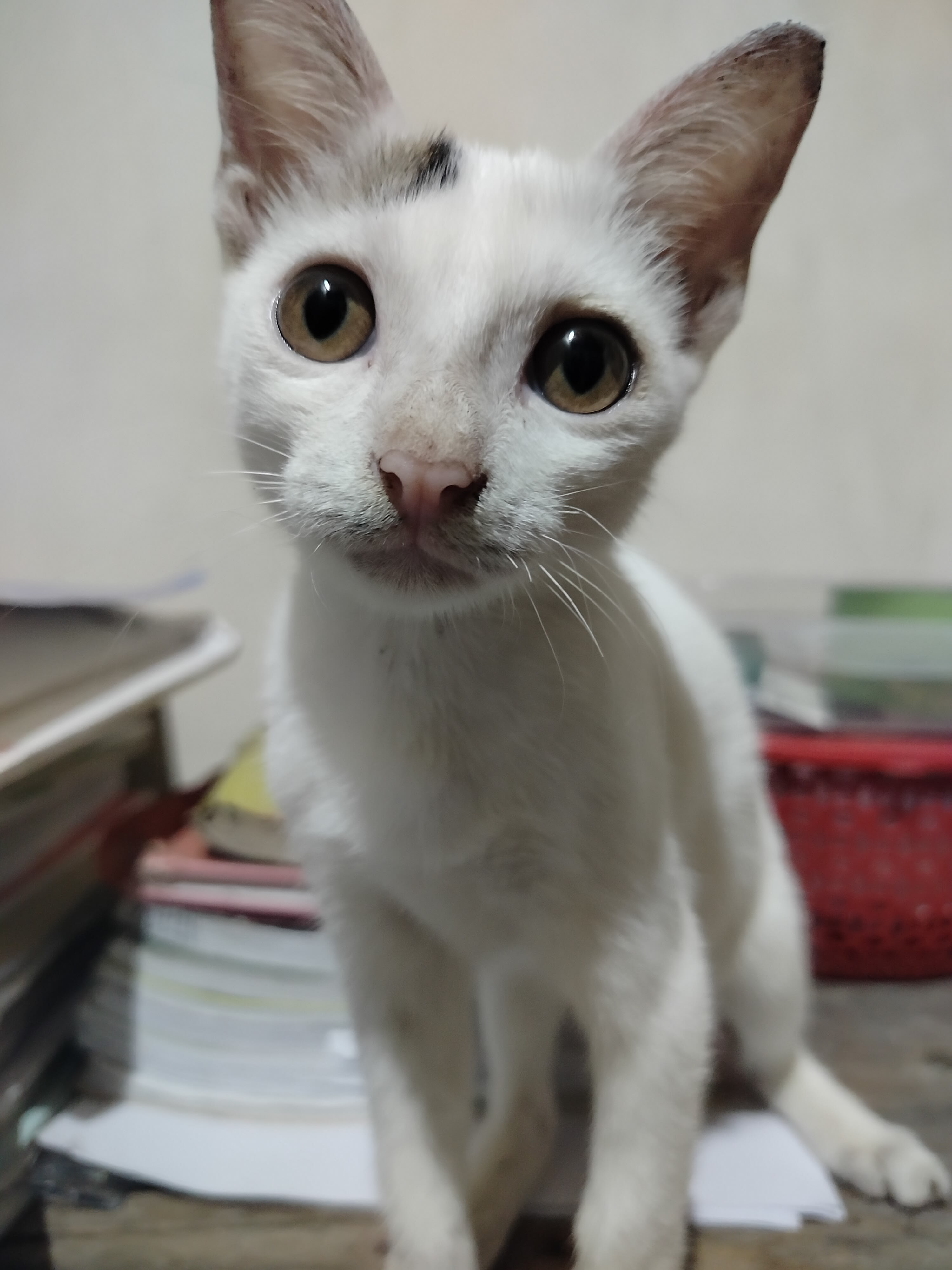 hadi's Farcaster avatar