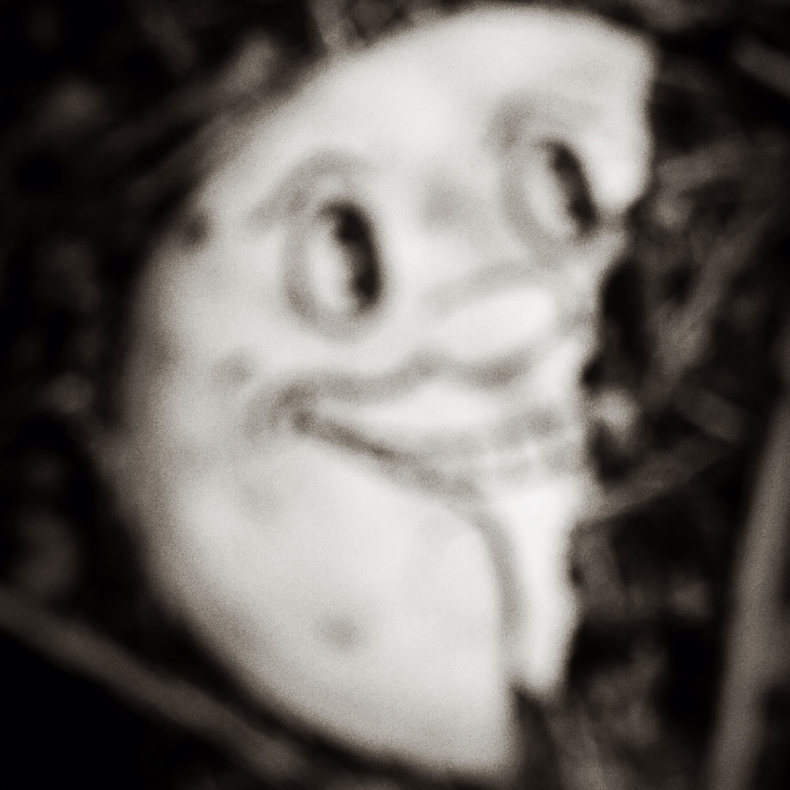 ubermuse (ubermuse.base.eth) Farcaster social identity (Fname handle) PFP