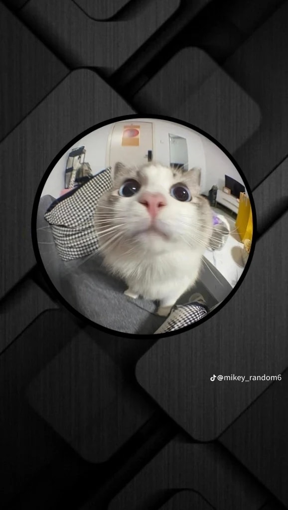 rajhabplus's Farcaster avatar
