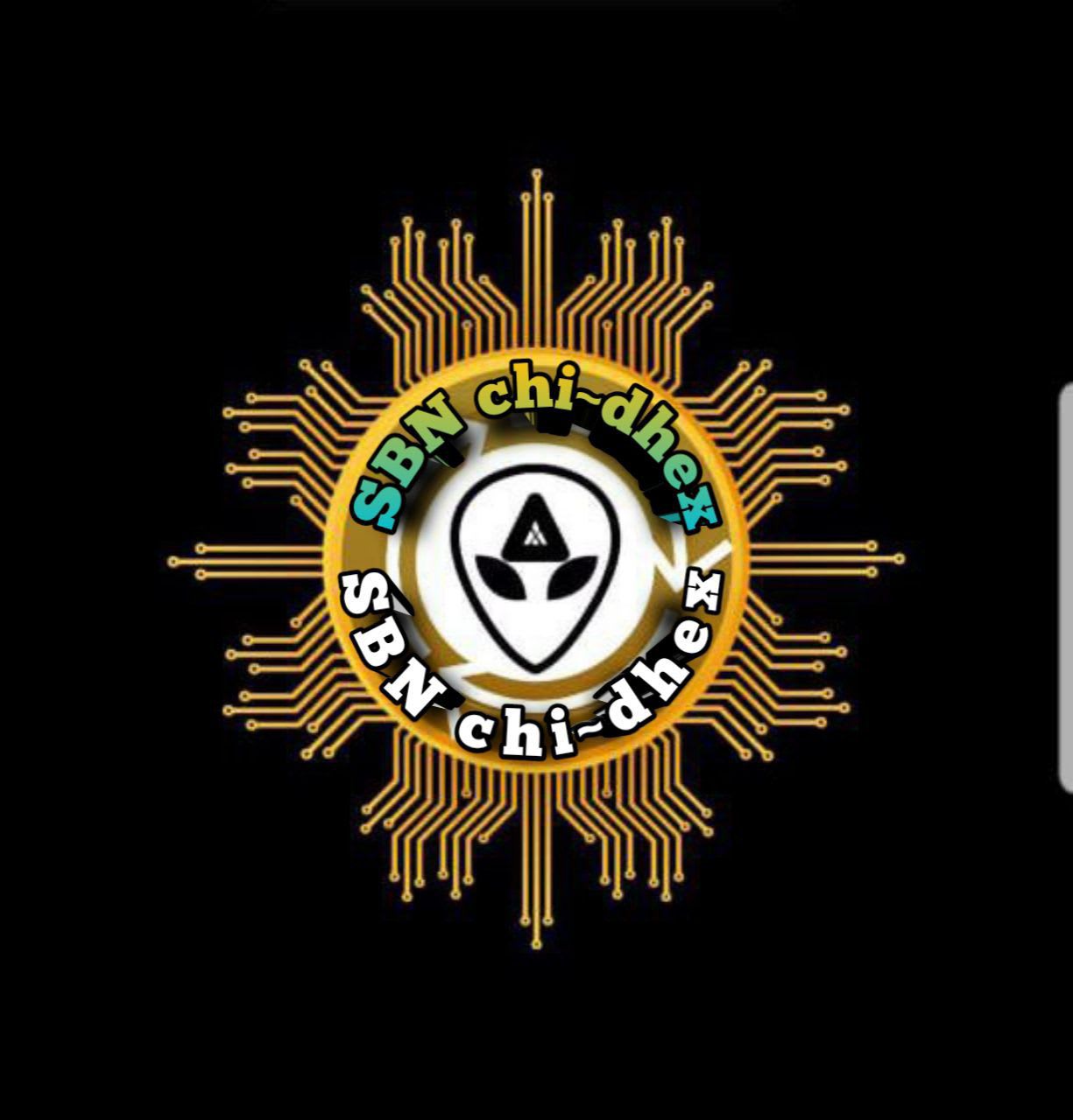 SBNchidhex's Farcaster avatar