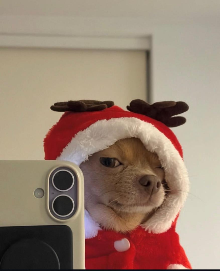 0xsenpai's Farcaster avatar