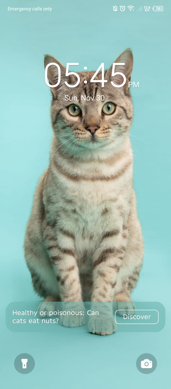 talukder's Farcaster avatar