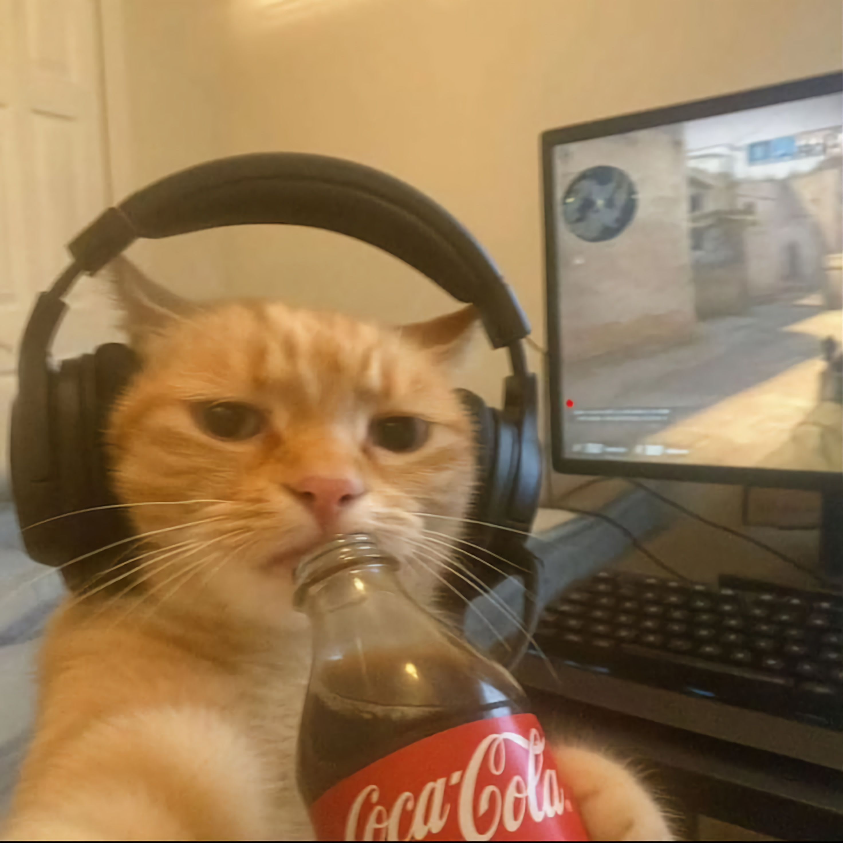ghostyakabash's Farcaster avatar