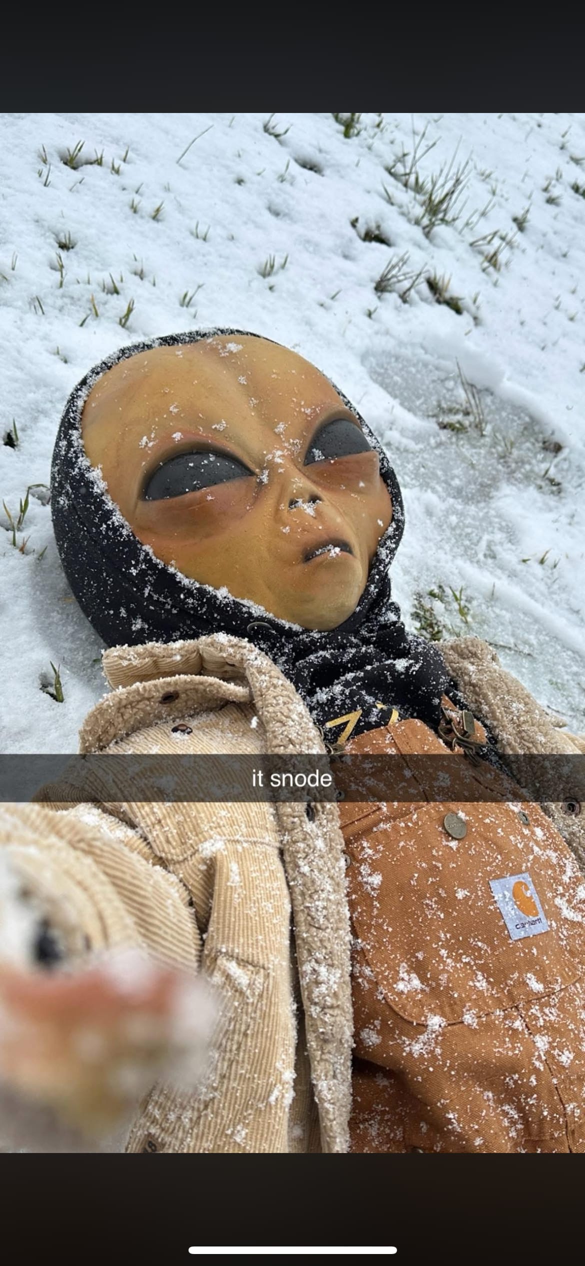 AltcoinBastard's Farcaster avatar