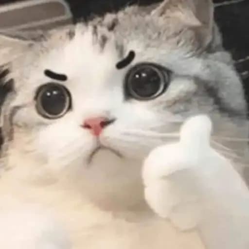 Dreamz's Farcaster avatar