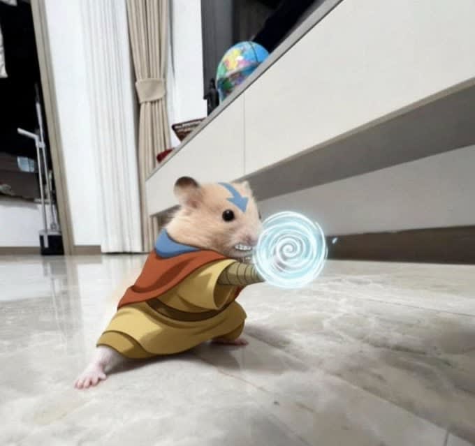 cimemueww's Farcaster avatar