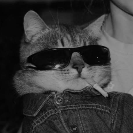 Catz's Farcaster avatar